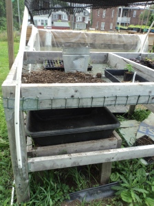 Tray being used to collect sifted compost